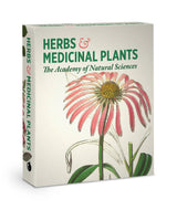 Herbs and Medicinal Plants Knowledge Cards