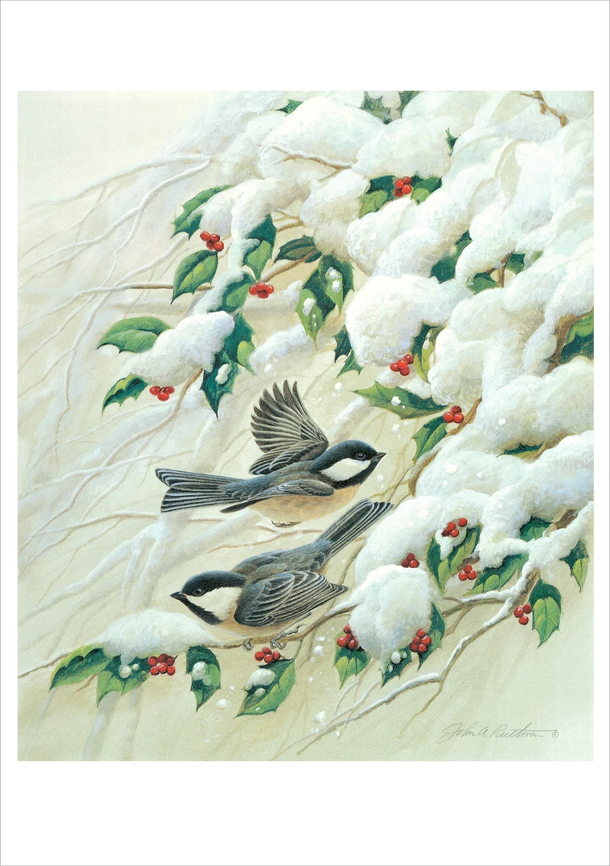 John Ruthven: Black Capped Chickadees Holiday Cards