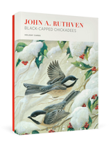 John Ruthven: Black Capped Chickadees Holiday Cards