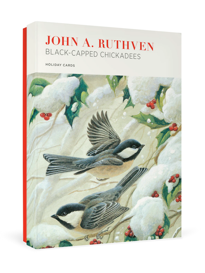 John Ruthven: Black Capped Chickadees Holiday Cards