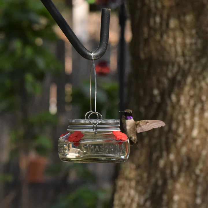 Mason Jar Hummingbird Feeder