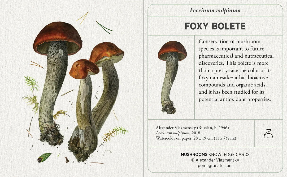 Mushrooms: Alexander Viazmensky Knowledge Cards