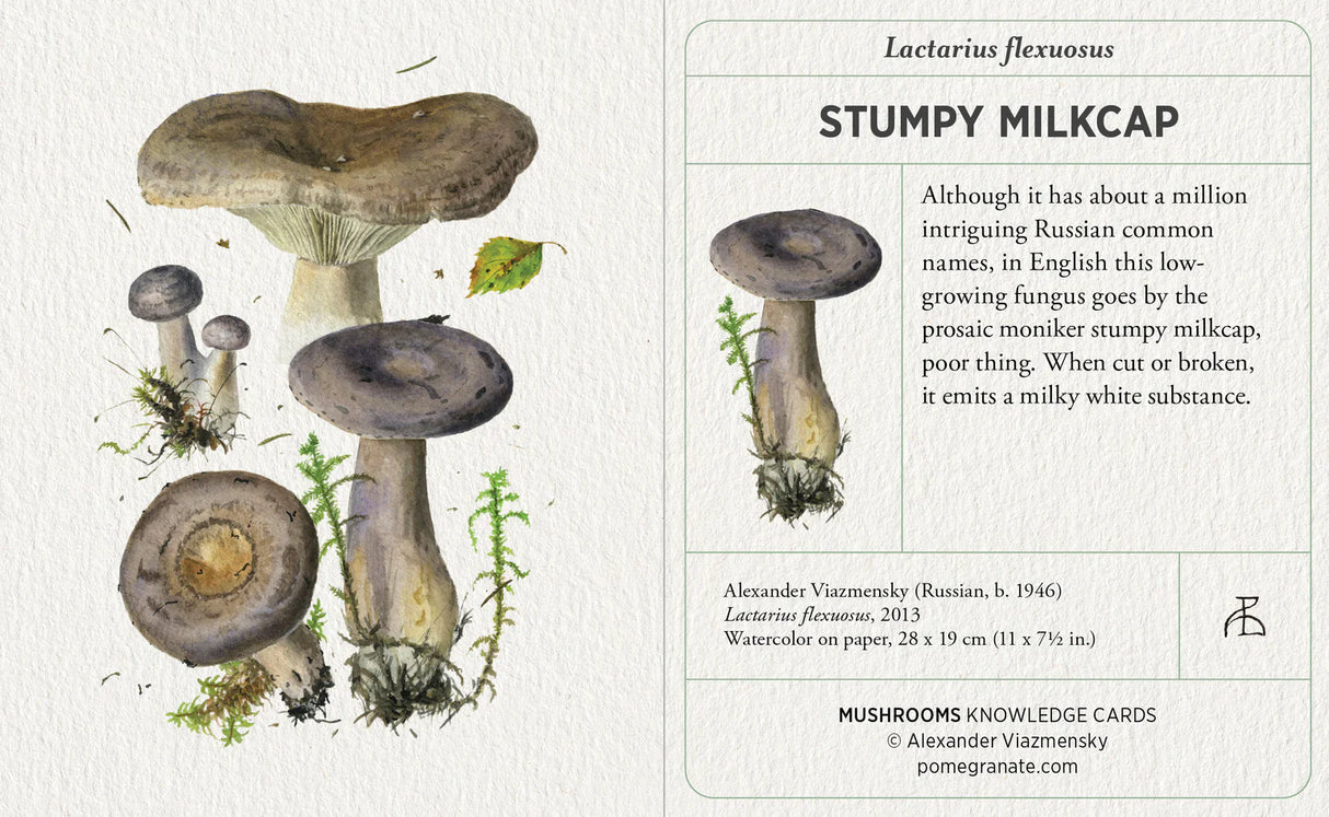 Mushrooms: Alexander Viazmensky Knowledge Cards