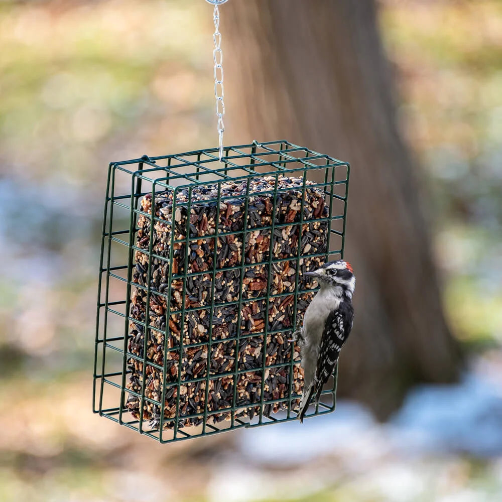 Neat Suet Hanging Feeder