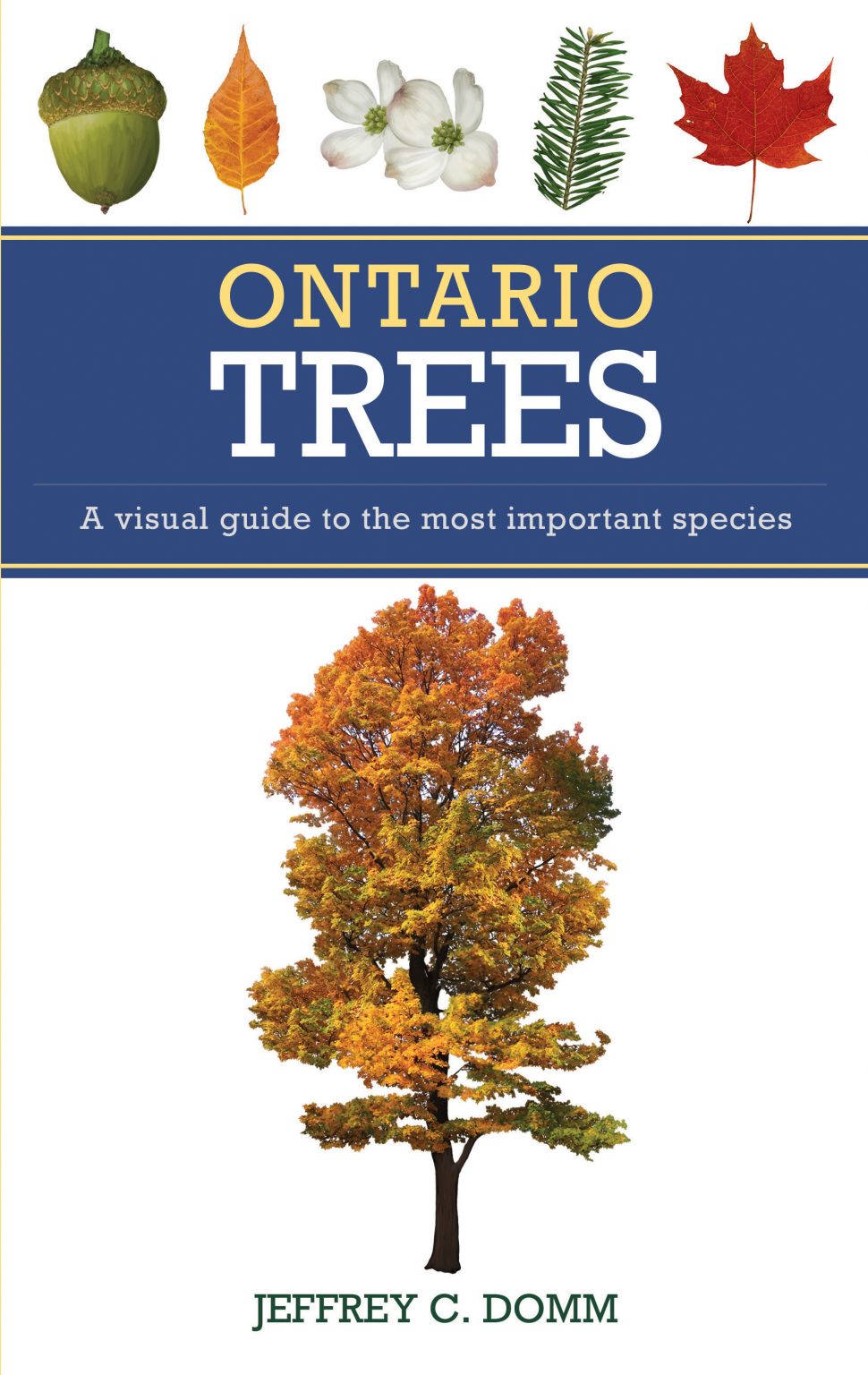 Ontario Trees, Jeffrey Domm