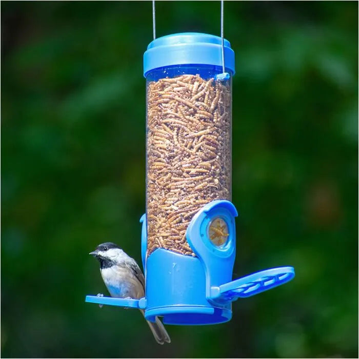 Perky-Pet Dried Mealworm Bird Feeder with Flexports