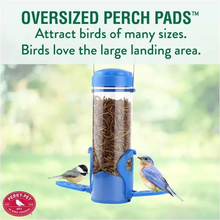 Perky-Pet Dried Mealworm Bird Feeder with Flexports