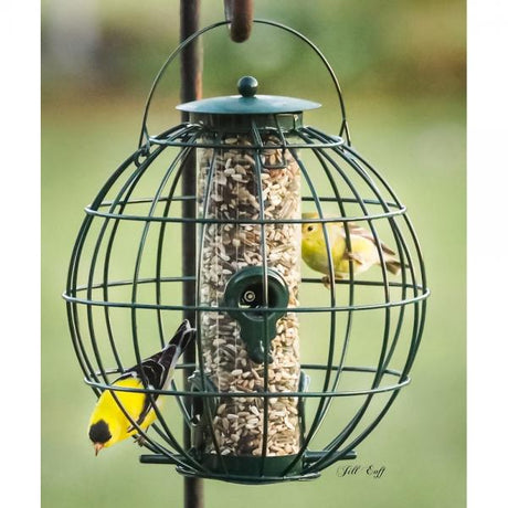 Petite Orb Caged Seed Feeder