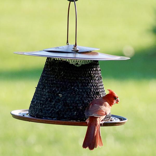 Red Collapsible Mesh Feeder with Tray, Holds 2.5lb Seed