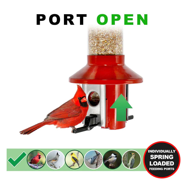 Roamwild PestOff Mixed Seed Squirrel Proof Bird Feeder, Red