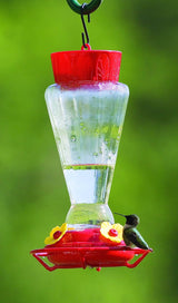 Royal Hummingbird Feeder