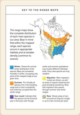 Sibley Backyard Birding Flashcards, Updated