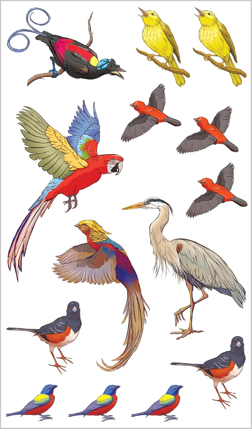 Soaring, Singing Tattoo Birds