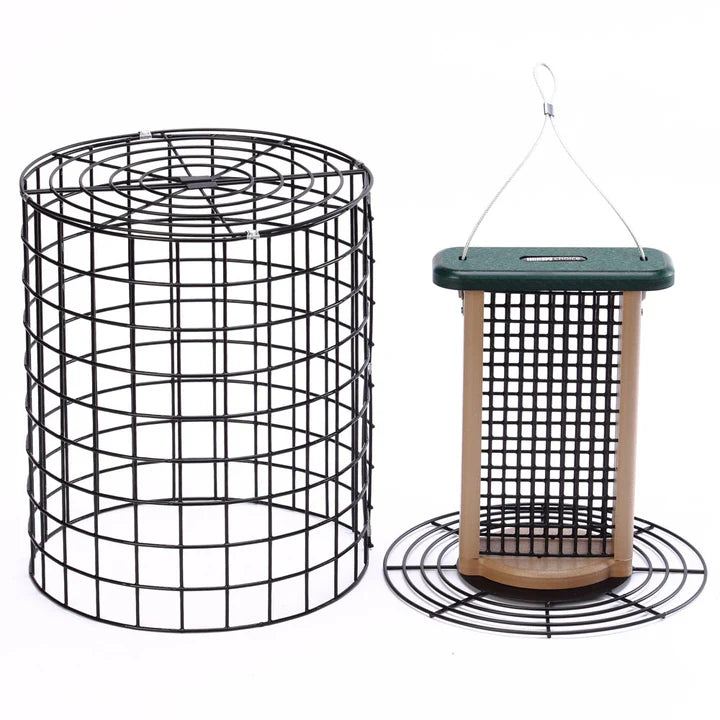 Buy Squirrel Proof 13-Inch Suet Bird Feeder for 2 Cakes with Wire Cage ...