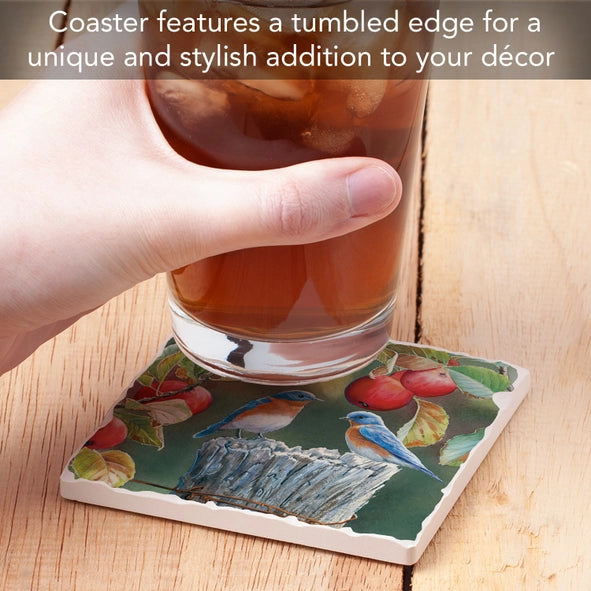 Take Flight 10 Single Absorbent Stone Tumbled Tile Coaster