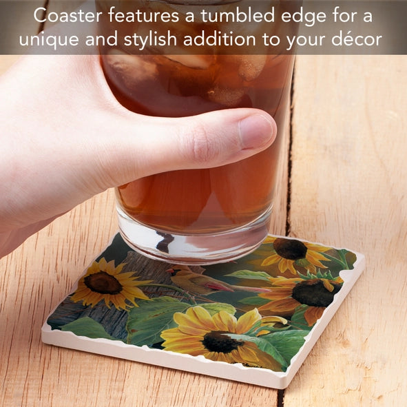 Take Flight 9 Single Absorbent Stone Tumbled Tile Coaster