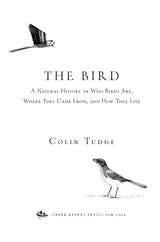 The Bird by Colin Tudge