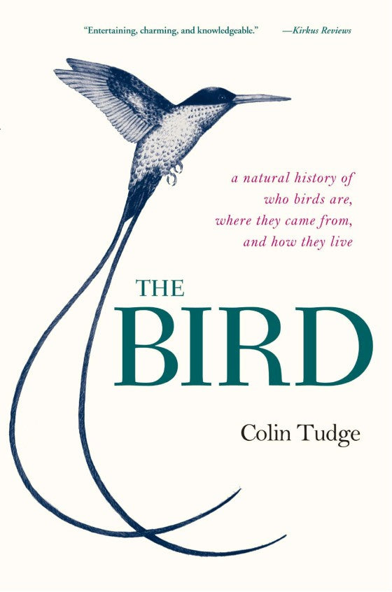 The Bird by Colin Tudge