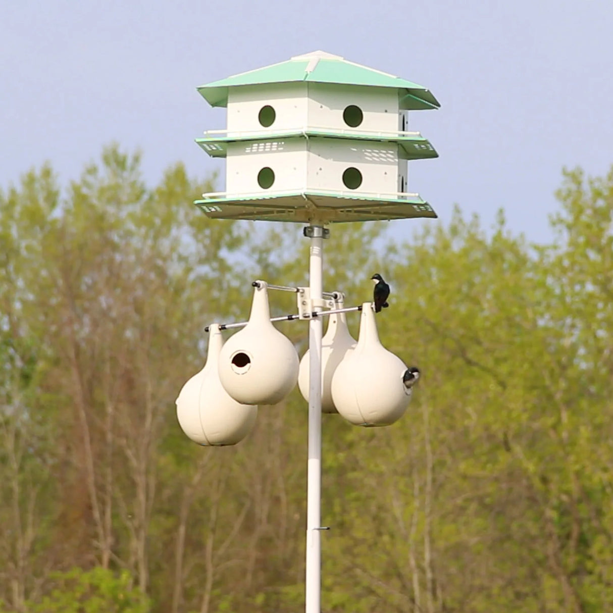 12-Room Snap-together Plastic & Aluminum Purple Martin House