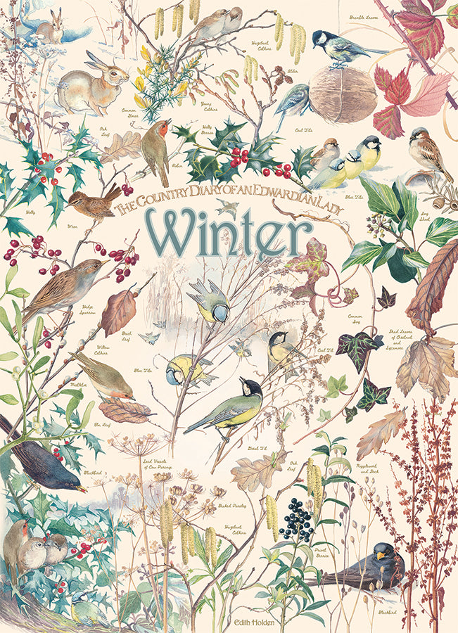 The Country Diary of an Edwardian Lady, Winter 1000pc Puzzle