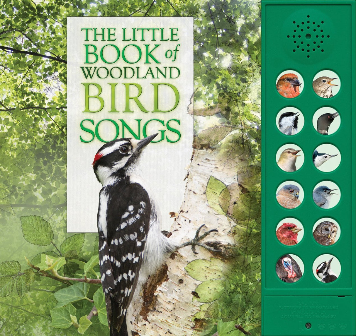 The Little Book of Woodland Bird Songs