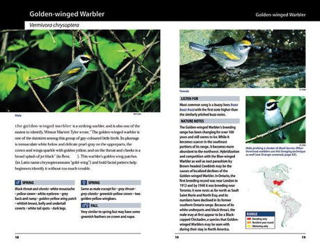 Warblers of the Great Lakes Region and Eastern North America