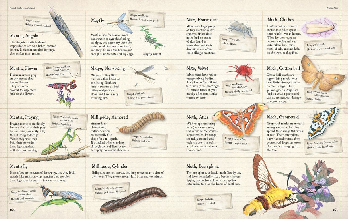 Firefly Wildlife Atlas: A Comprehensive Guide to Animal Habitats