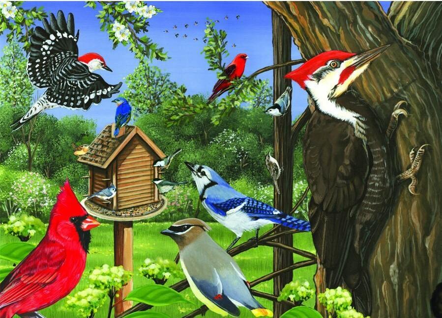 Around the Birdfeeder Tray Puzzle, 35pc