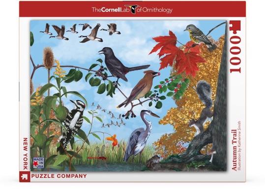 Autumn Trail 1000 Piece Jigsaw Puzzle