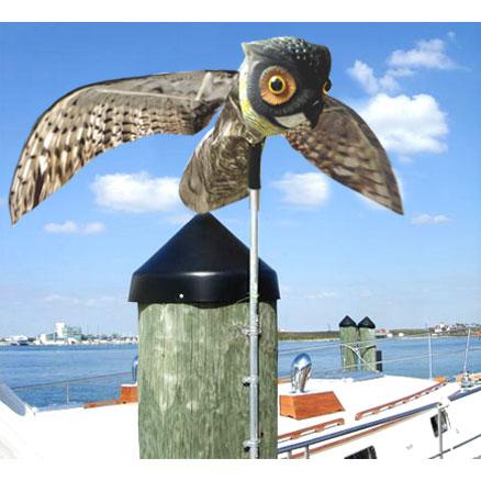 Prowler Owl Lifelike Owl Decoy