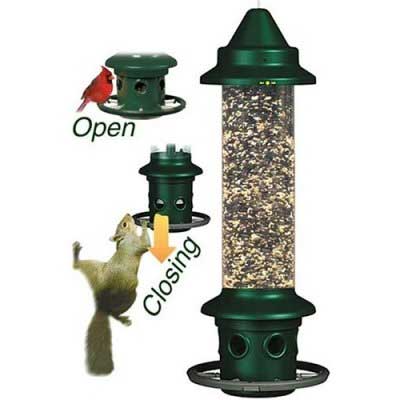 Brome Squirrel Buster Plus Bird Feeder