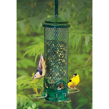 Squirrel Buster Mini Squirrel Proof Bird Feeder