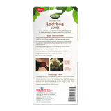 BioCare Ladybug Lures