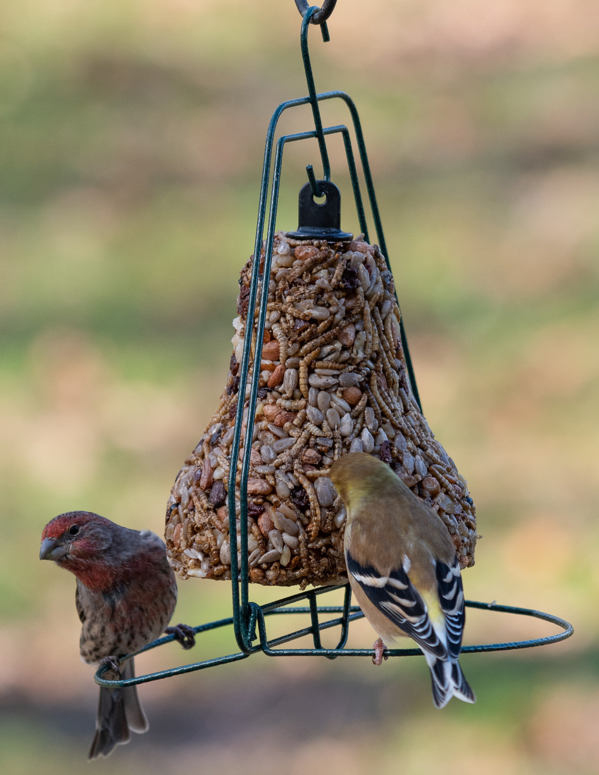 Bugs, Nuts and Fruit Bell