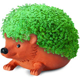 Chia Pet Hedgehog (Store Pickup Only)