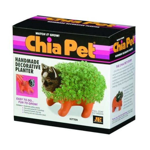 Chia Pet Kitten (Store Pickup Only)