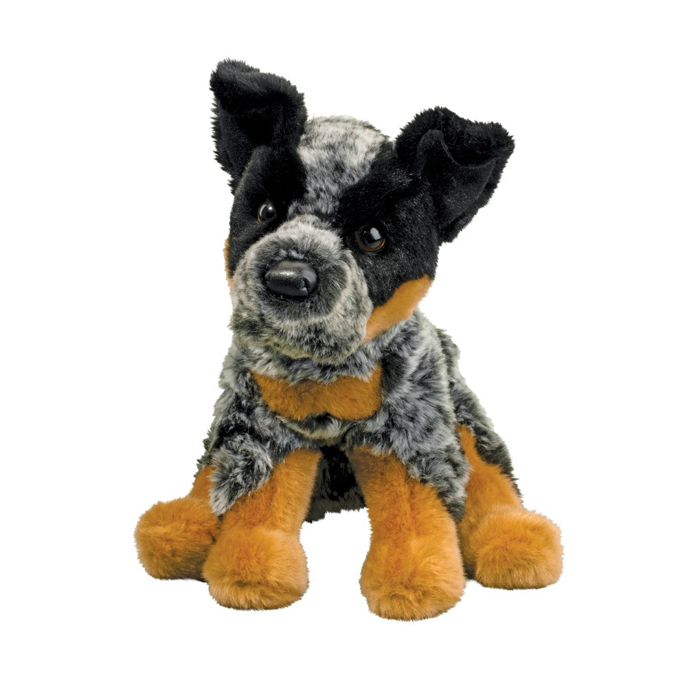 Dexter Australian Cattle Dog