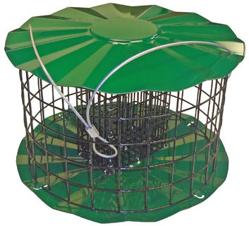 Double Suet Cake Feeder