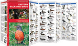 Pocket Naturalist: Eastern Backyard Birds