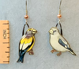 Eco Friendly Evening Grosbeak Earrings