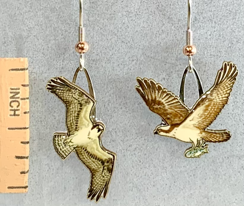 Eco Friendly Osprey Earrings