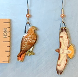 Eco Friendly Red-Tailed Hawk Earrings