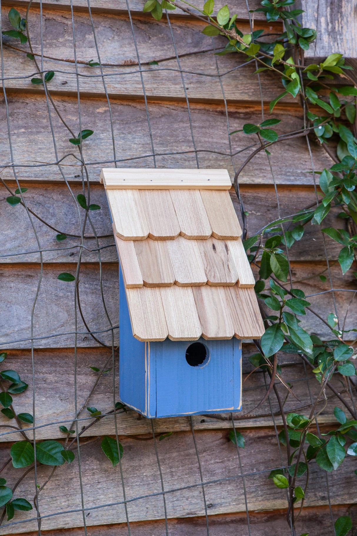 Fruit Coops Birdhouse, Blueberry