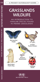 Grasslands Wildlife