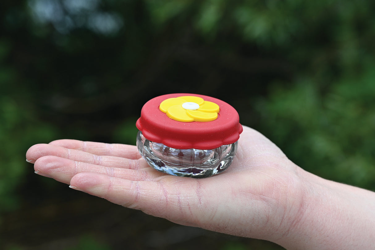 Handheld Hummingbird Feeder