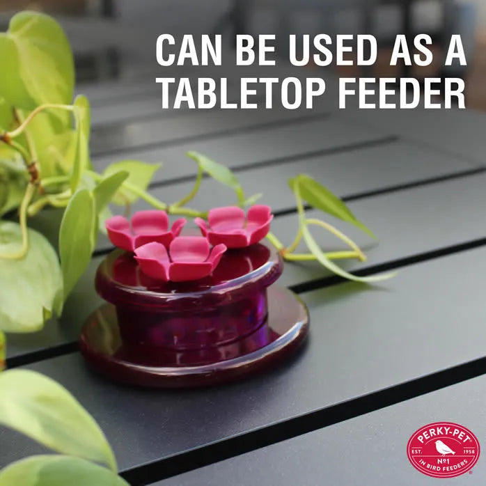 Handheld & Tabletop Hummingbird Feeder