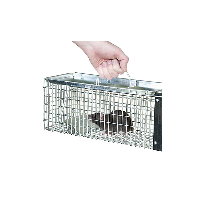 Havahart Collapsible Easy Set 1-Door Traps in the Animal & Rodent Control  department at