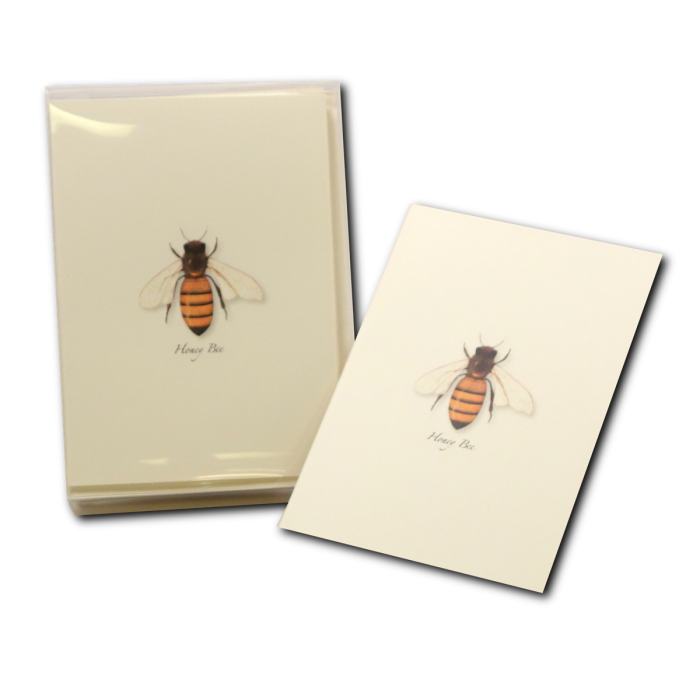 Honey Bee Boxed Notecards