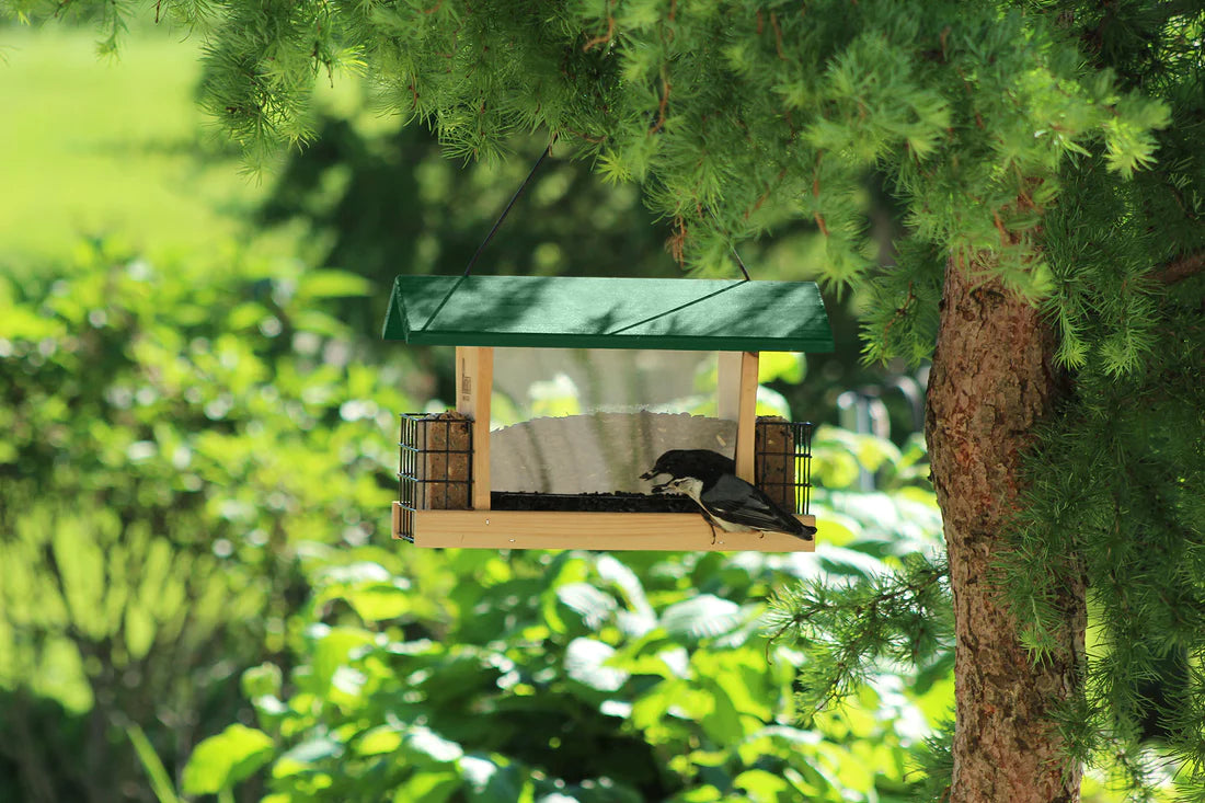 Hopper Feeder With Suet Cages