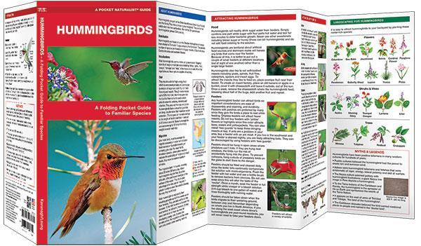 Hummingbirds, A Folding Pocket Guide